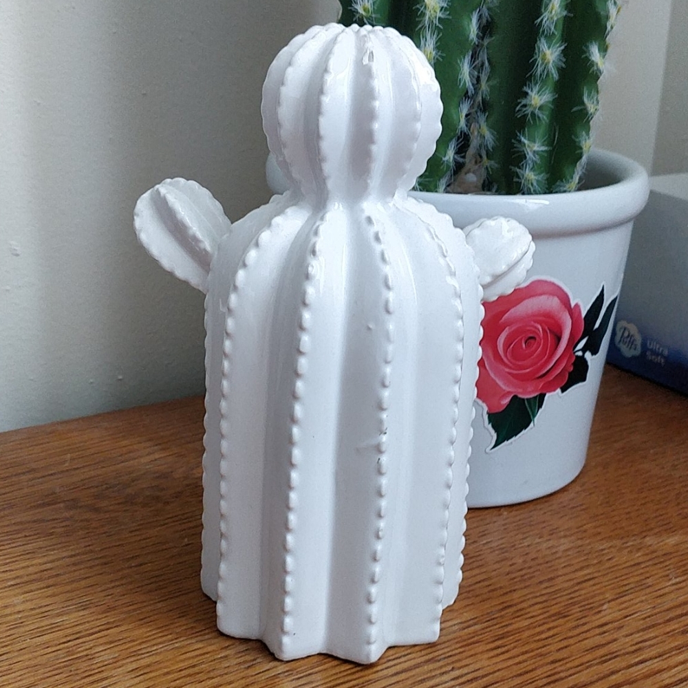 Cute Ceramic Cactus